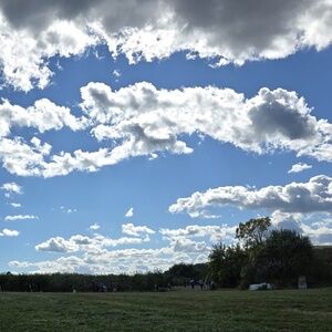 Meet your Posher, Michelle 💕